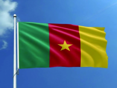 Customized 90 - 150cm Cameroon national flag