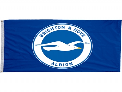 custom brighton flag