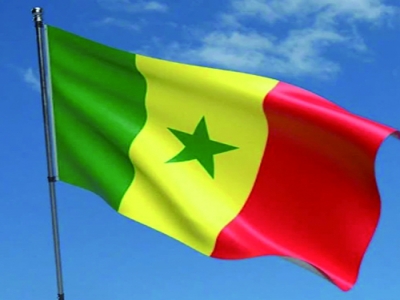 Customized 3x5ft Senegal Flag