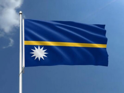 Custom in Stock Nauru Flag