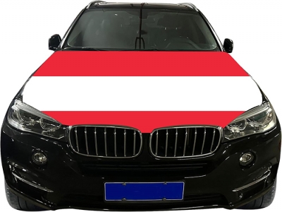 Custom Austrian car cover flag