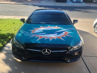 Customized Miami Dolphin Car Engine Cover Flag