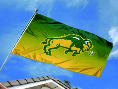 Customized NCAA North Dakota State Bison Flag