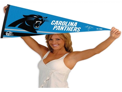 Custom NFL Carolina Panthers Pennant