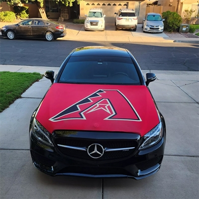 Custom Arizona Diamondbacks car hood flag